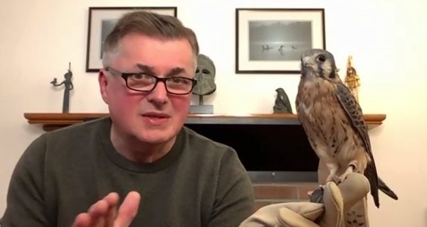 Birds of prey visit Sherborn Library