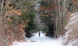 Crowds embrace Rail Trail despite cold