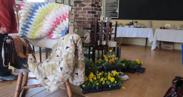 Pansy Day returns to Needham