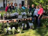 Garden Club rings in planting season