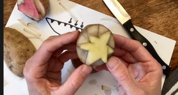 Medfield Library crafters make potato prints