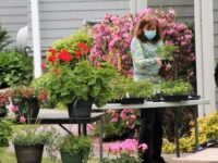 Epiphany Parish holds plant sale