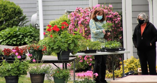 Epiphany Parish holds plant sale