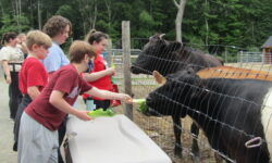 Dudleyfest makes a triumphant return