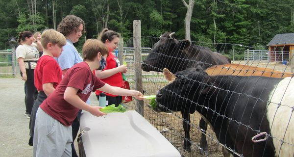 Dudleyfest makes a triumphant return