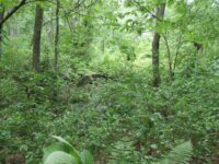 A pleasant StoryWalk at Hale