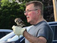Patrons fly in to see raptors