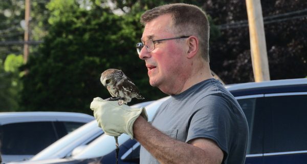 Patrons fly in to see raptors