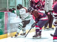 Blomquist, Sullivan lead Wolverines over Timbs