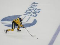 Hawks fall short in state finals