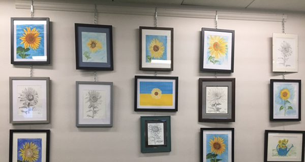 ‘Sunflowers for Ukraine’