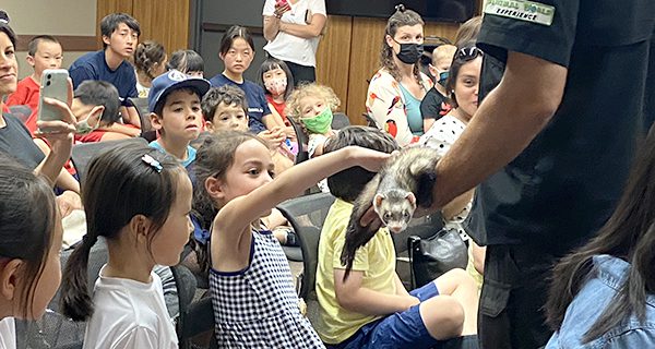 Needham Library goes wild for Animal Experience