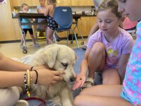 GOFI dogs have tails wagging in Walpole