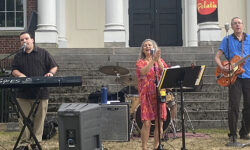 Retro Polatin rocks around Dover common