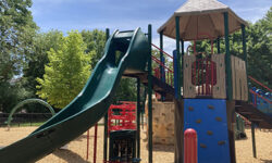 The play’s the thing