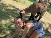 Kidding around at library summer kickoff