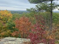 Hometown Weekly’s favorite leaf-peeping spots