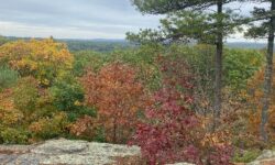 Hometown Weekly’s favorite leaf-peeping spots