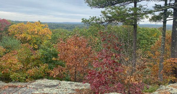 Hometown Weekly’s favorite leaf-peeping spots