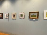 <strong>NAA juried show exhibits local ingenuity</strong>