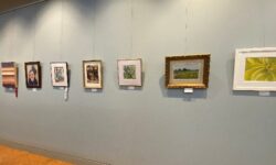 <strong>NAA juried show exhibits local ingenuity</strong>