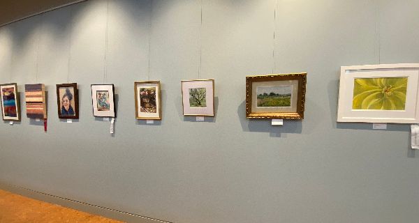 <strong>NAA juried show exhibits local ingenuity</strong>