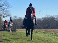<strong>Amelia Peabody honored at memorial foxhunt </strong>