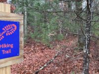 <strong>New year, new trails in Walpole</strong>