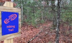 <strong>New year, new trails in Walpole</strong>