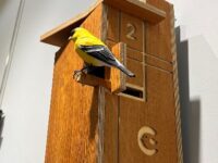<strong>Birdhouse exhibit lands at library</strong>