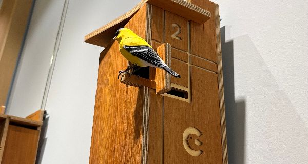<strong>Birdhouse exhibit lands at library</strong>