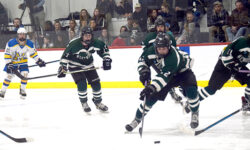 Wolverine’s falls against Mustangs