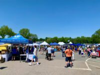 Walpole Day delights