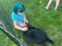 Fun at the Craft Fair