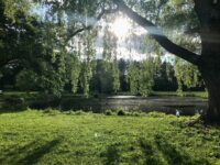 Making time for movement