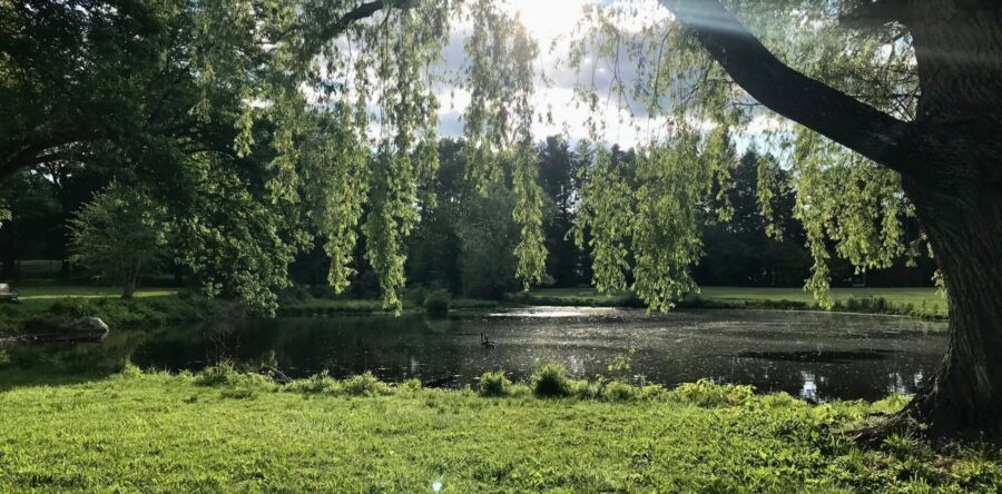 Making time for movement