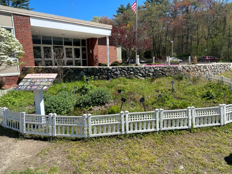 Hidden gem at Martha Jones Elementary