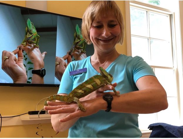 Lizards bring joy to The Center