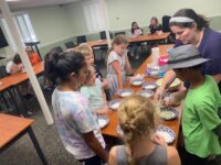 Exploring pies at MPL