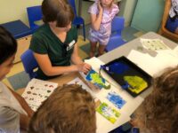Children experiment with plant prints