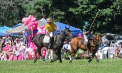20th Annual Polo in the Country