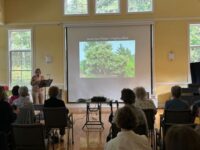 Fallscaping at The Center