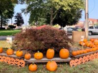 Plenty of pumpkins at Epiphany Parish