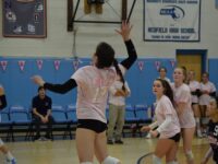 Warriors volleyball digs pink