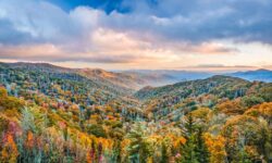 Dr. Strobel discusses Native Americans at SPL