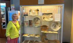 Discovering Fuhro’s clay creations at NFPL