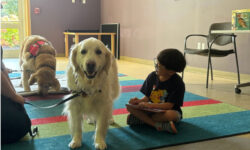 Children practice reading with pups