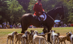 Locals enjoy Polo in the Country