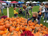 Locals enjoy the annual Needham Harvest Fair