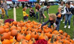 Locals enjoy the annual Needham Harvest Fair